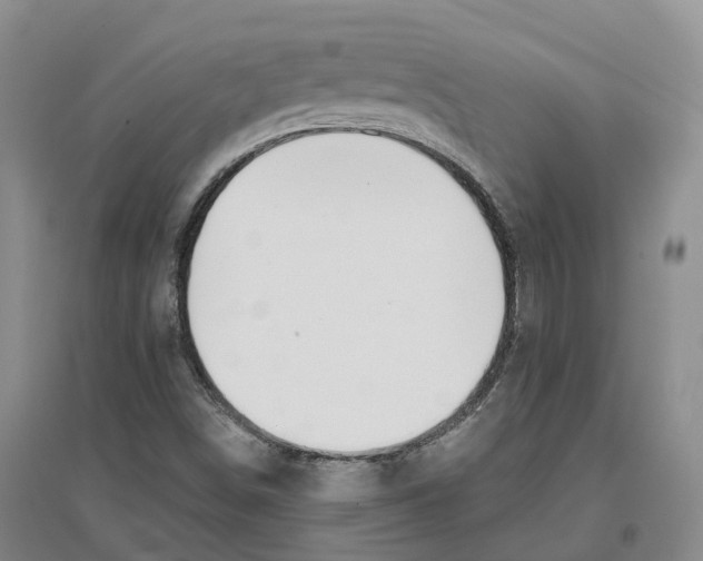 X0000096711498200802261616