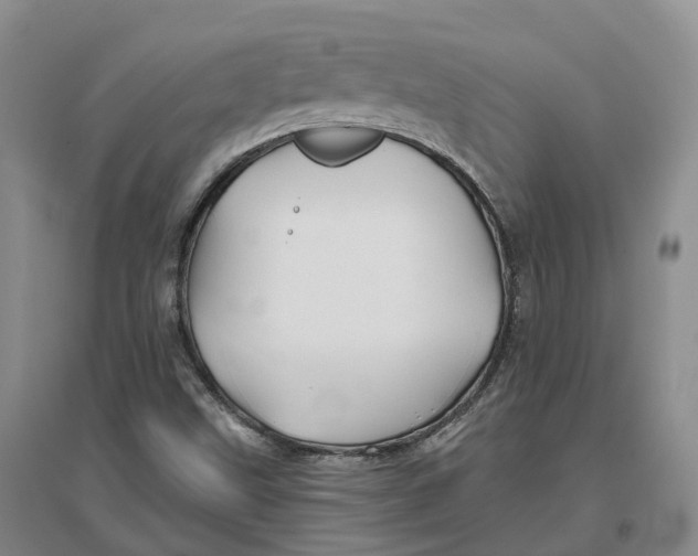 X0000096711499200802261616