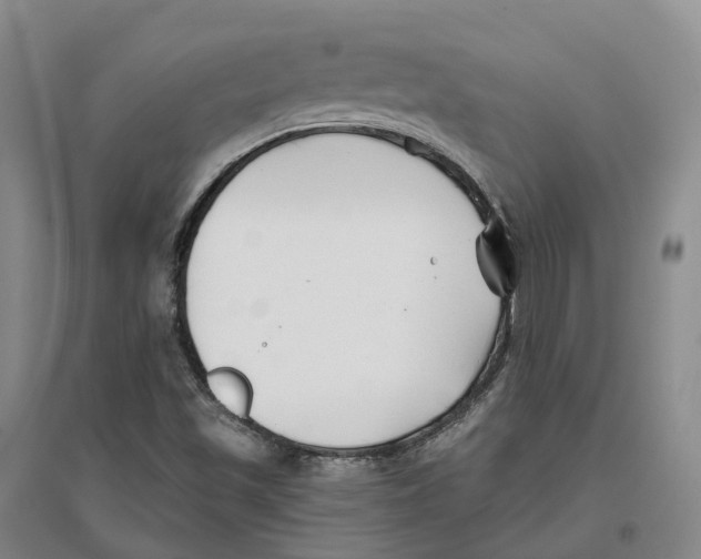 X0000096711501200802261616