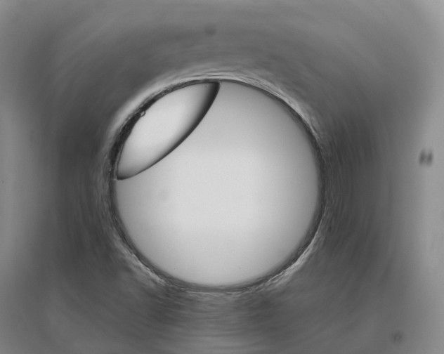 X0000096711502200802261616