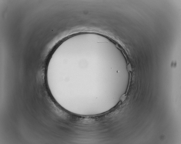 X0000096711503200802261616