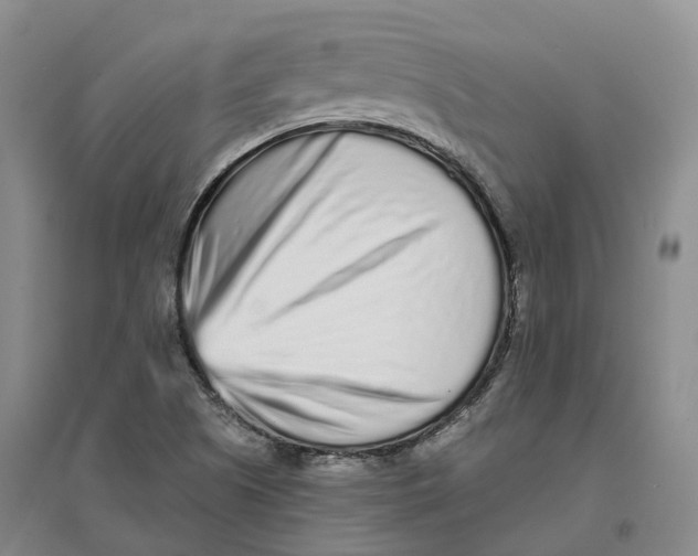 X0000096711505200802261616