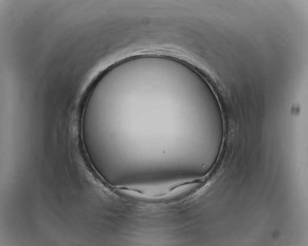 X0000096711506200802261616