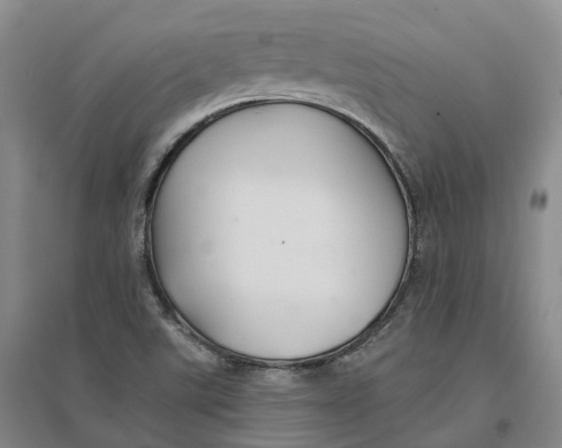 X0000096711507200802261616