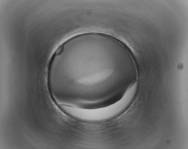 X0000096711508200802261617