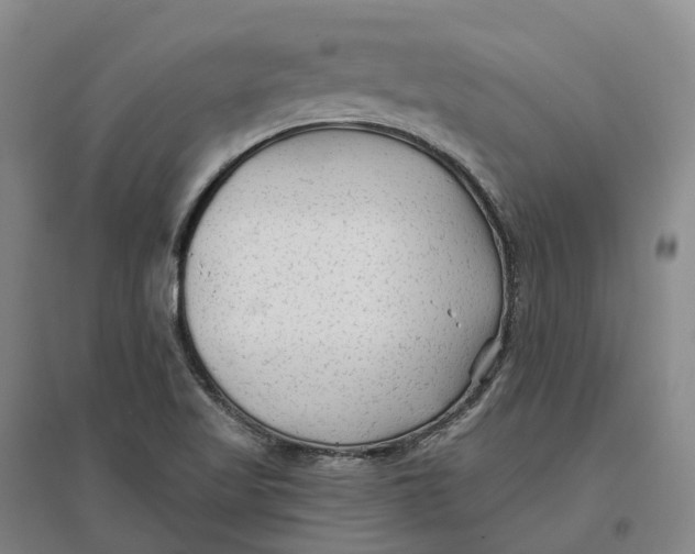 X0000096711509200802261617