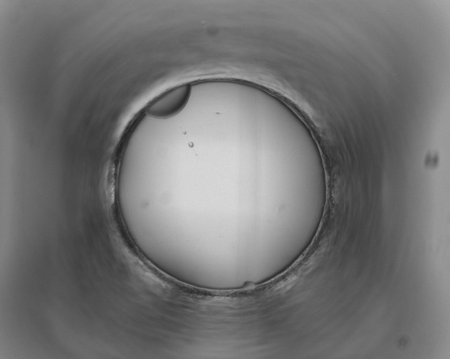 X0000096711510200802261617