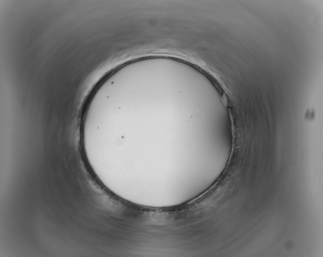 X0000096711511200802261617