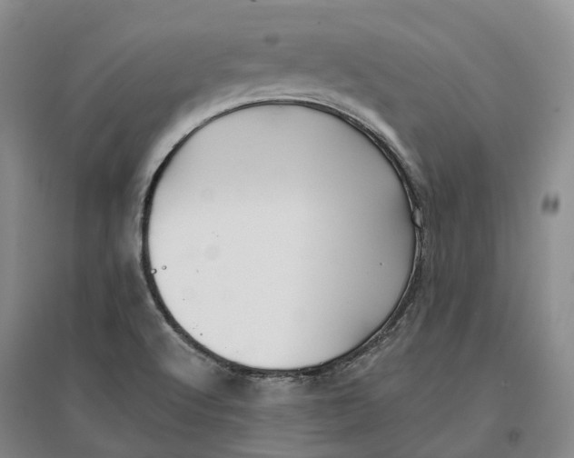 X0000096711512200802261617