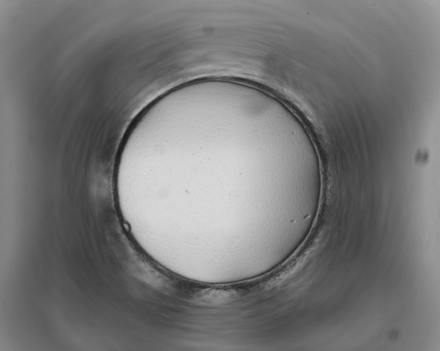 X0000096711513200802261617