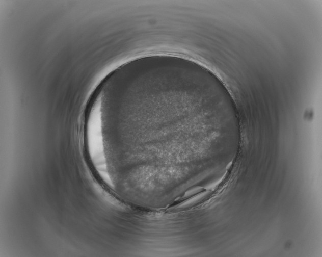 X0000096711515200802261617