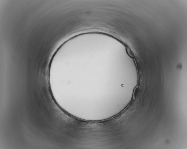 X0000096711516200802261617