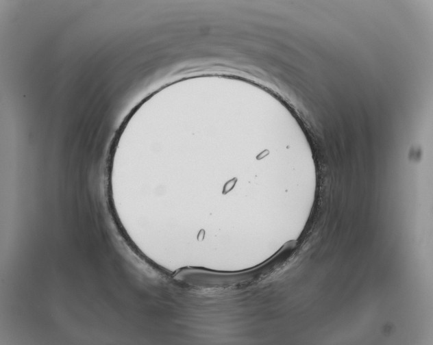 X0000096711518200802261617