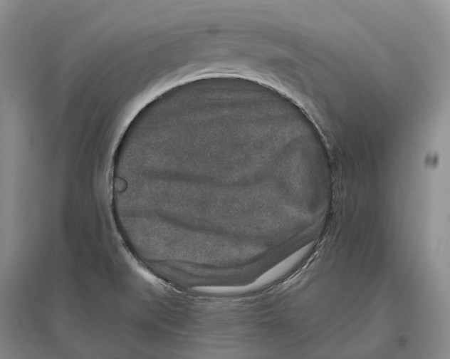 X0000096711519200802261617