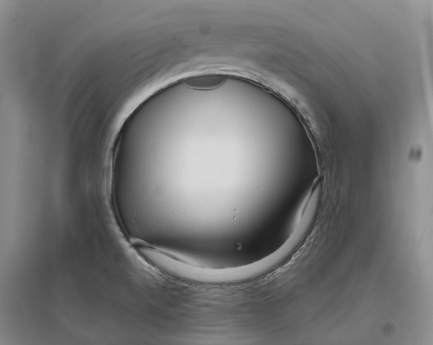 X0000096711520200802261617