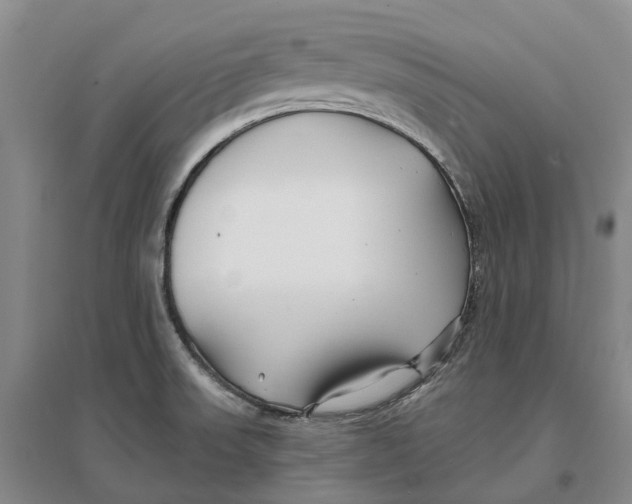 X0000096711523200802261617