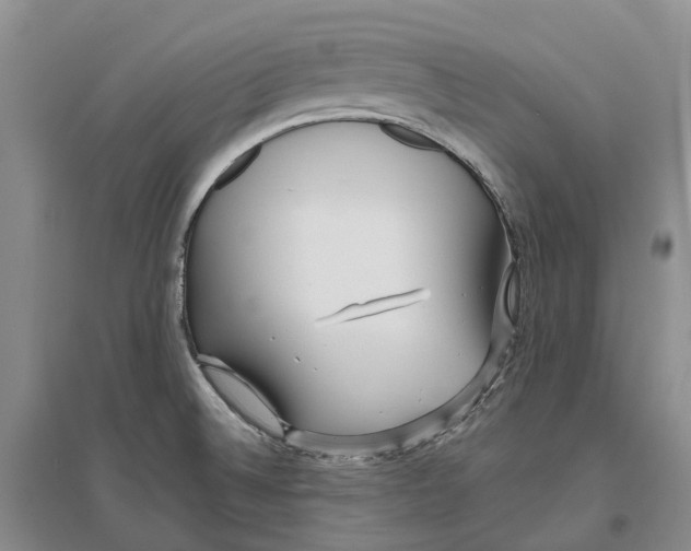 X0000096711524200802261617