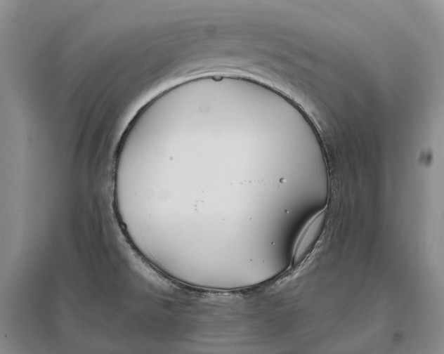 X0000096711526200802261617