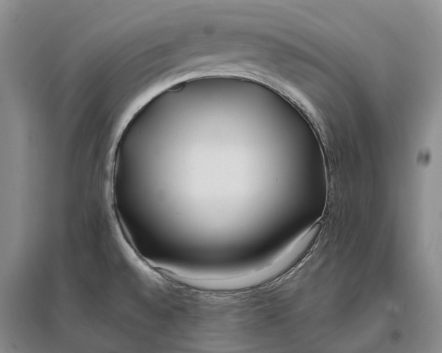 X0000096711528200802261617