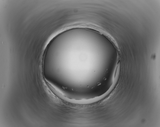 X0000096711530200802261617