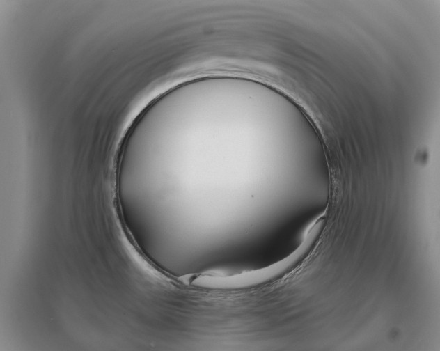 X0000096711531200802261617