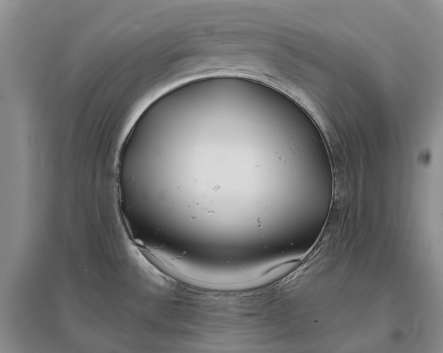 X0000096711532200802261617