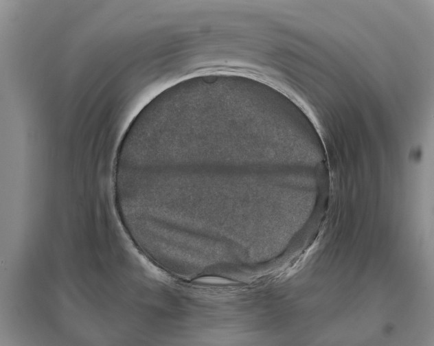 X0000096711533200802261617