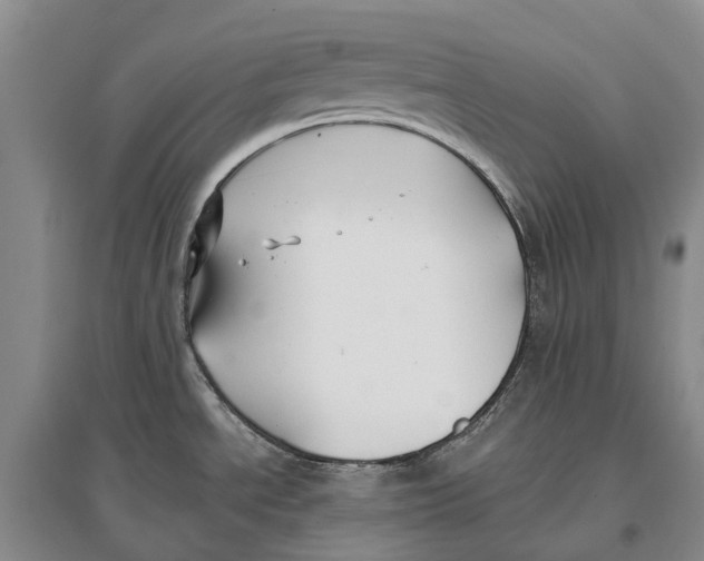 X0000096711534200802261617