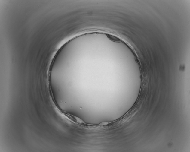 X0000096711535200802261617