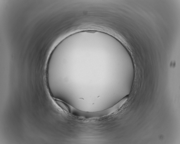 X0000096711536200802261617