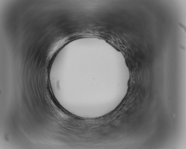 X0000096710005200803041350