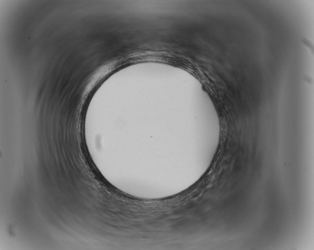 X0000096710006200803041350