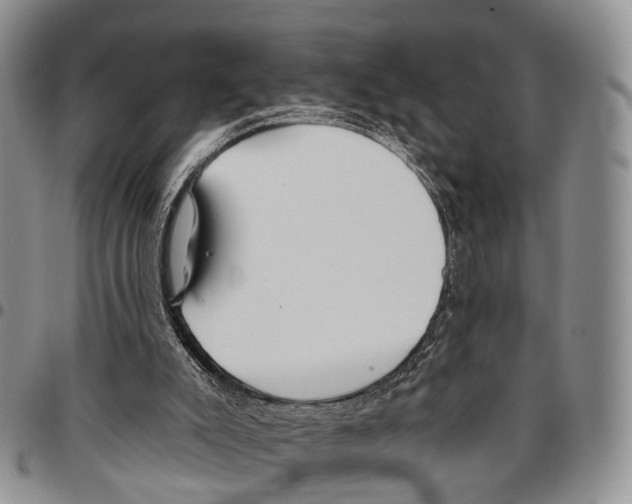 X0000096710007200803041350