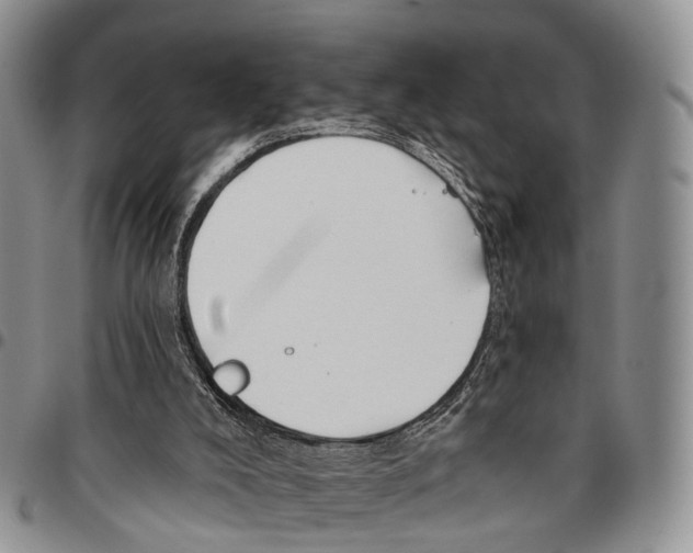 X0000096710008200803041350