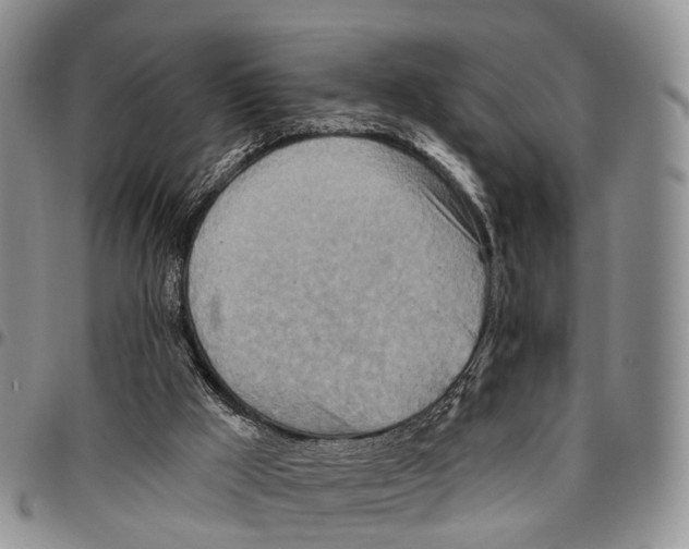 X0000096710009200803041350