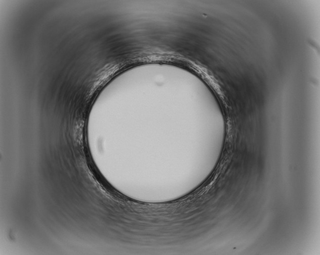 X0000096710010200803041350