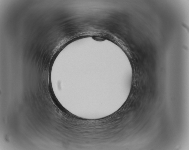 X0000096710011200803041350