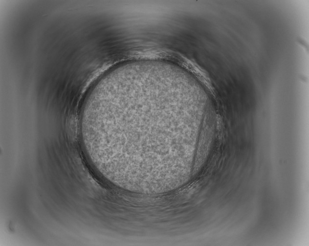 X0000096710012200803041350