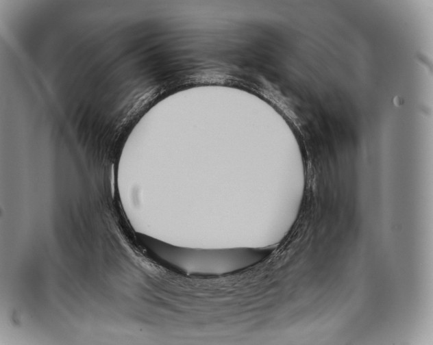 X0000096710013200803041350