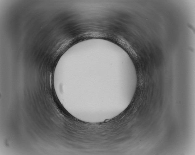 X0000096710014200803041350