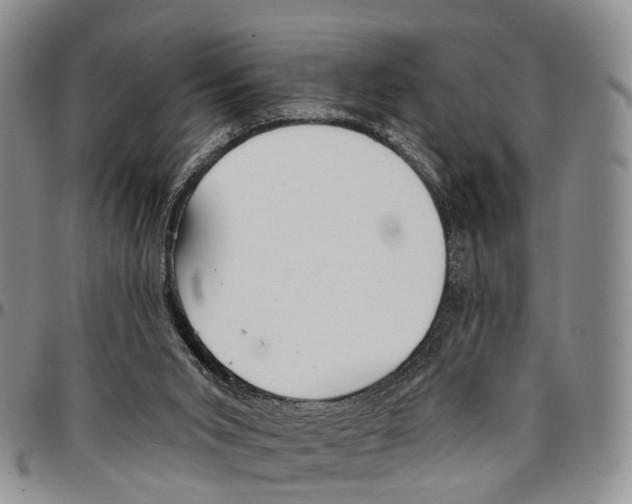 X0000096710015200803041350