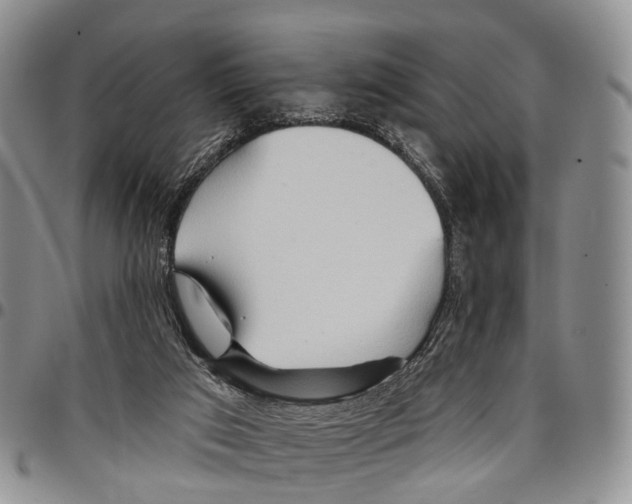 X0000096710017200803041350