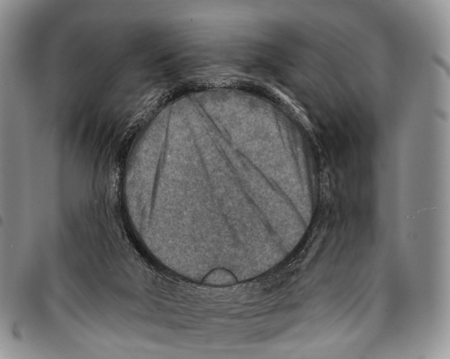 X0000096710018200803041350