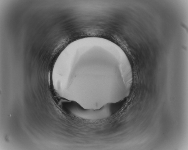 X0000096710019200803041350