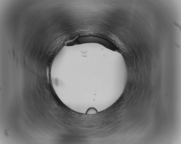 X0000096710022200803041350