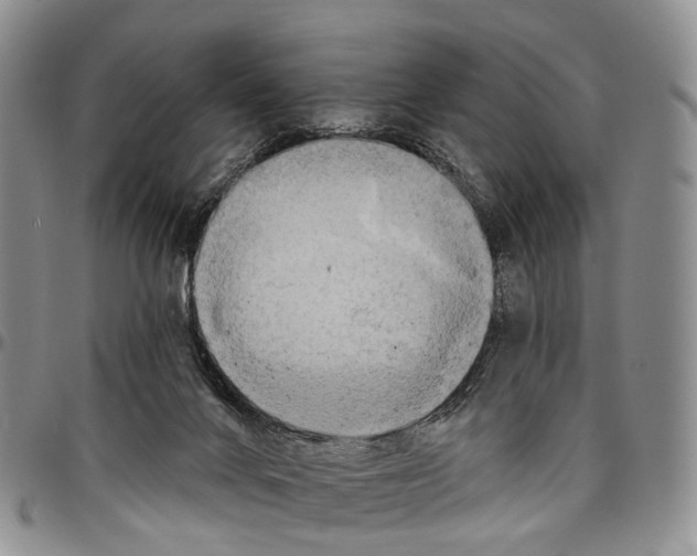 X0000096710024200803041350