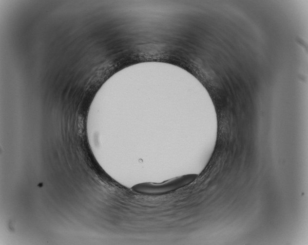 X0000096710025200803041350