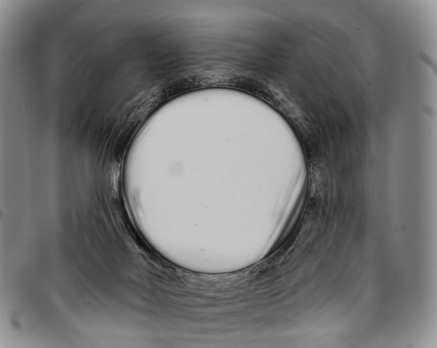 X0000096710026200803041350