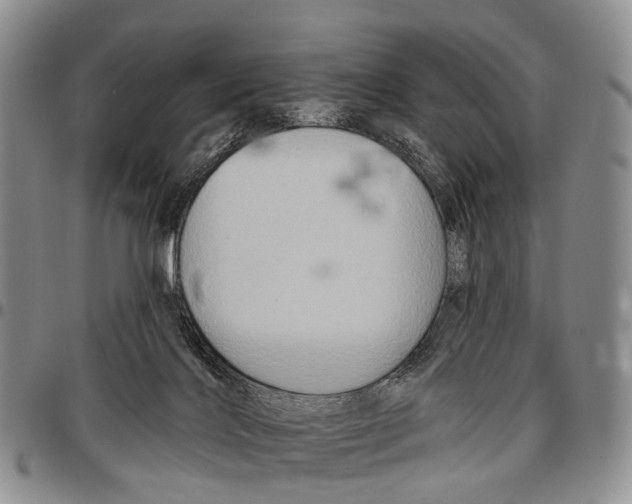 X0000096710028200803041350