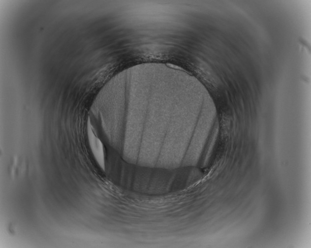 X0000096710029200803041350